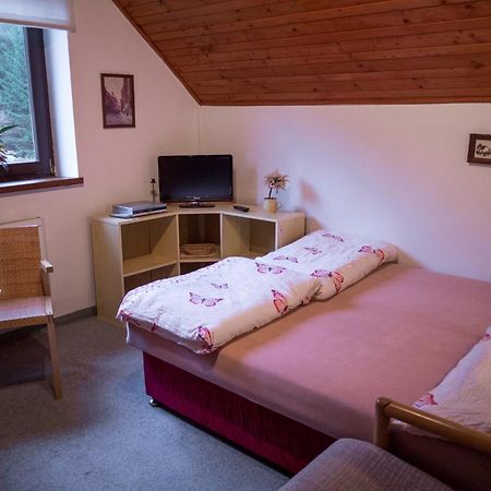 Apartment Harrachov/Riesengebirge 2400 Εξωτερικό φωτογραφία