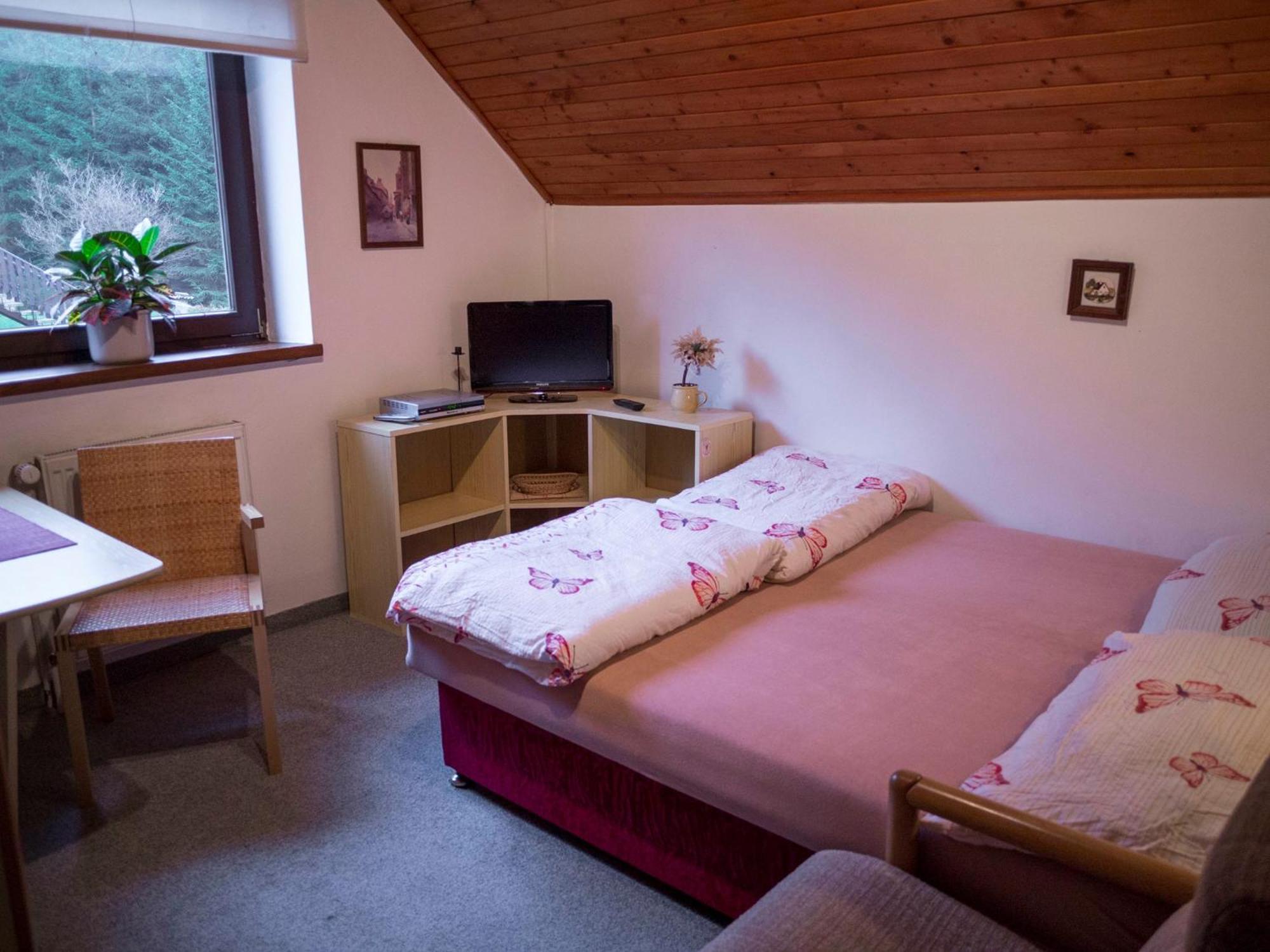 Apartment Harrachov/Riesengebirge 2400 Εξωτερικό φωτογραφία