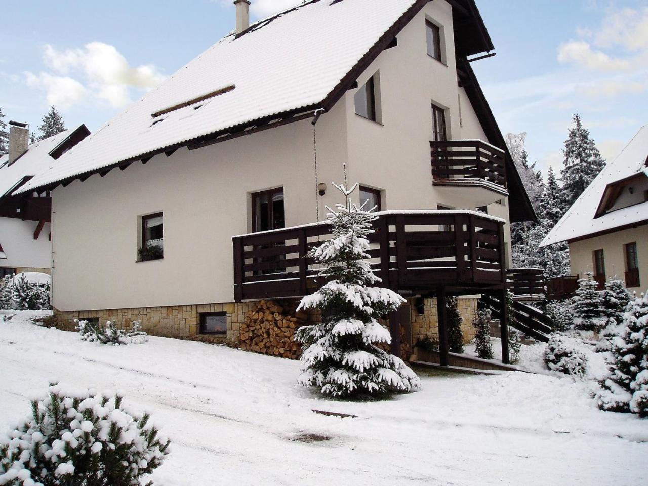 Apartment Harrachov/Riesengebirge 2400 Εξωτερικό φωτογραφία